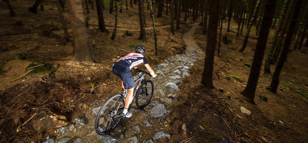 Ubytovani U Kaplicky Nove Mesto na Morave Dış mekan fotoğraf